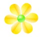 Flor color amarillo
